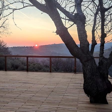 Bed and Breakfast "Cara Pace" In Collina Per Famiglie à Montefiore Conca Extérieur photo