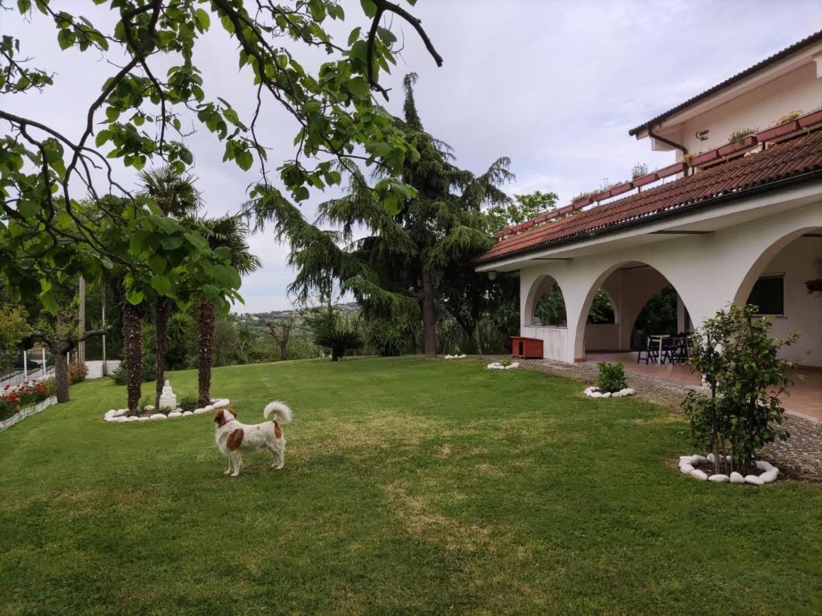 Bed and Breakfast "Cara Pace" In Collina Per Famiglie à Montefiore Conca Extérieur photo